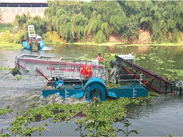 四川中型水葫蘆收割船工作現場.jpg