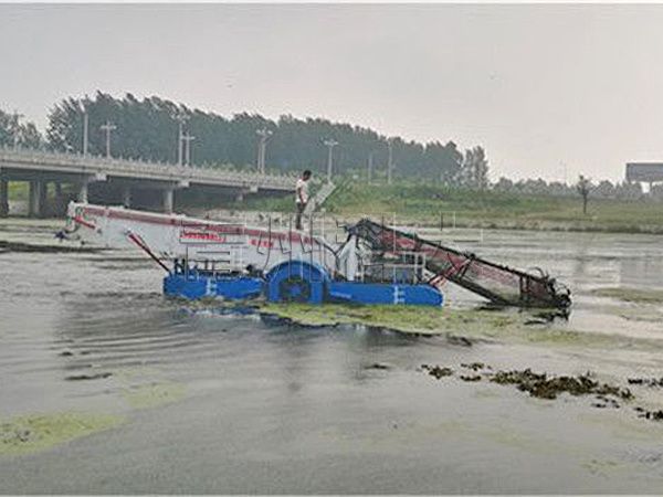 全自動水草打撈船江蘇豐縣工作現場 (2).jpg