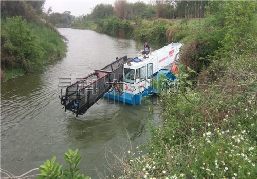 廣東水葫蘆打撈船處理水葫蘆現場.jpg